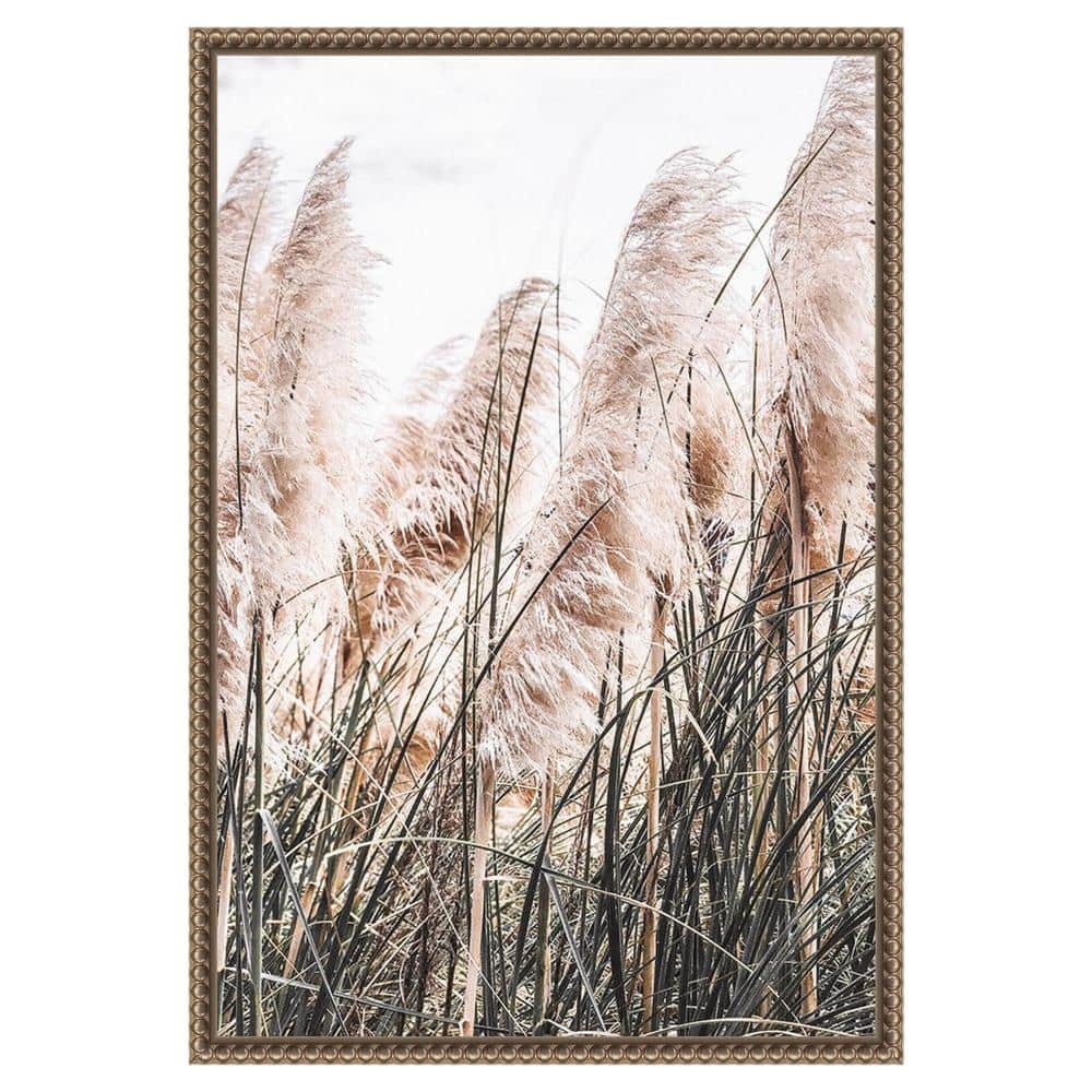 Pampas Grass Sepia Photography Canvas with Beaded Bronze Frame