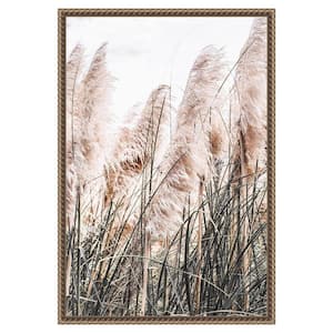 "Pampas Grass" by Incado 1-Piece Floater Frame Giclee Nature Canvas Art Print 23 in. x 16 in.