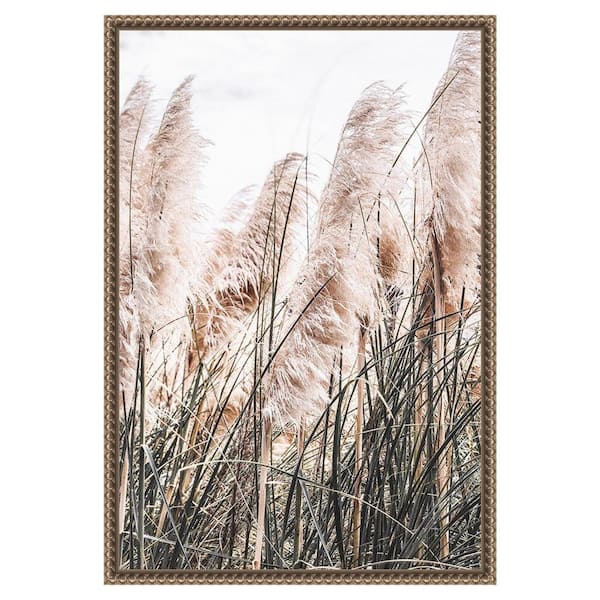 Amanti Art "Pampas Grass" by Incado 1-Piece Floater Frame Giclee Nature Canvas Art Print 23 in. x 16 in.