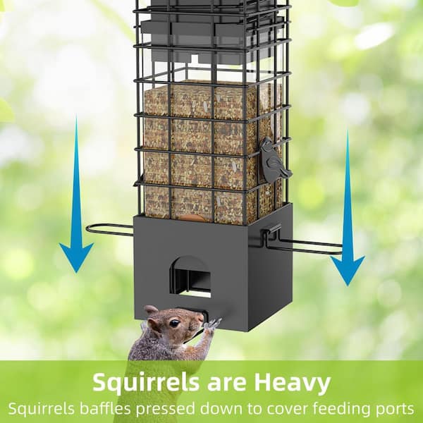 Unbranded - Black Metal 2.5 lbs. Capacity Squirrel Proof Bird Feeder for Wild Bird