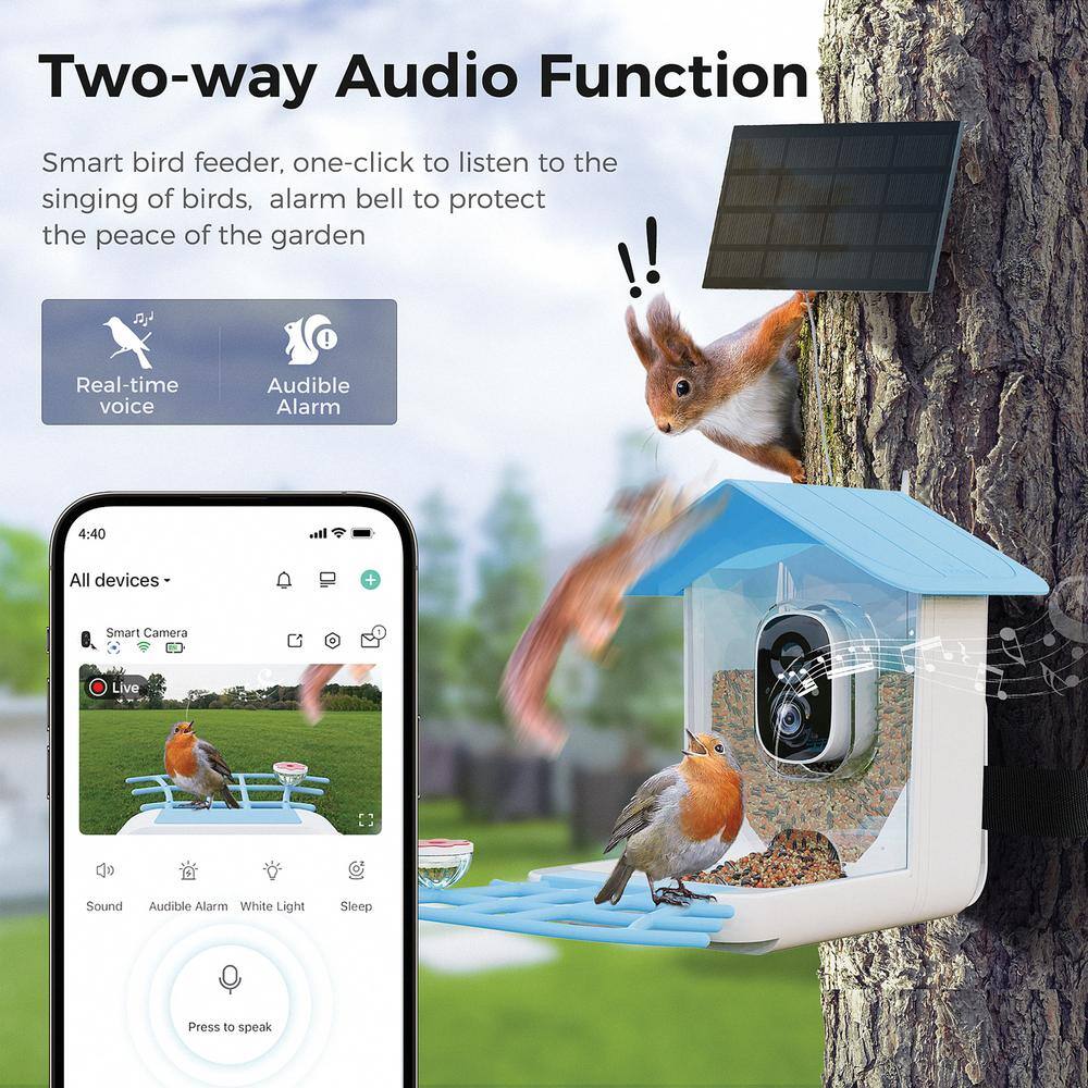 Sky Blue Canopy Plastic Squirrel-Resistant Platform Bird Feeder with Camera