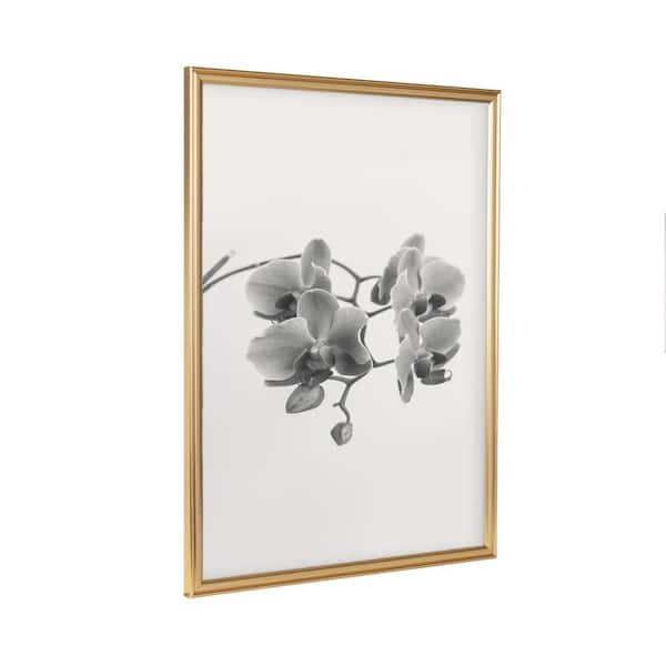Adlynn 18 x 24 Gold Plastic Picture Frame
