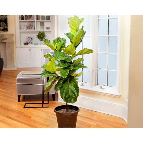 indoor hanging plant pot Mini Hanging Planter  Still Serenity