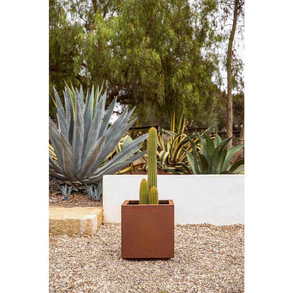 Small Rust Corten Steel Cube Planter for Indoor/Outdoor Use