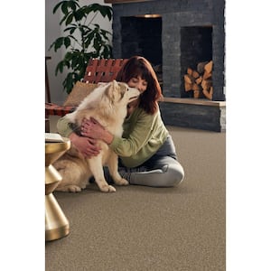 Pioneer - Prairie Dance - Brown 73.5 oz. SD Polyester Texture Installed Carpet