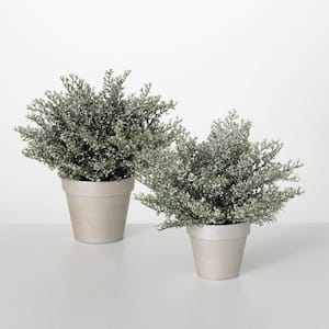 10 .5 in. and 12.5 in. Artificial Potted White Bubble Cedar Christmas Tree Set of 2