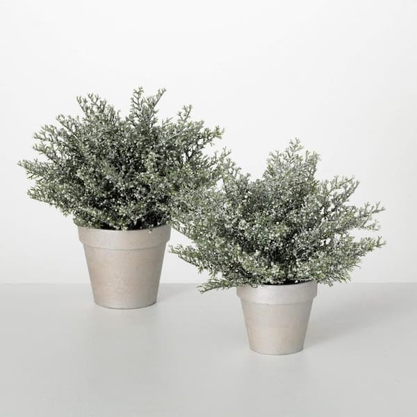 SULLIVANS 10 .5 in. and 12.5 in. Artificial Potted White Bubble Cedar Christmas Tree Set of 2