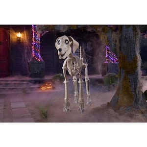 4.9-ft. Tall, 6.9-ft. Long, 1.5-ft. Wide Skelly’s Dog LCD LifeEyes Animatronic Halloween Sculpture