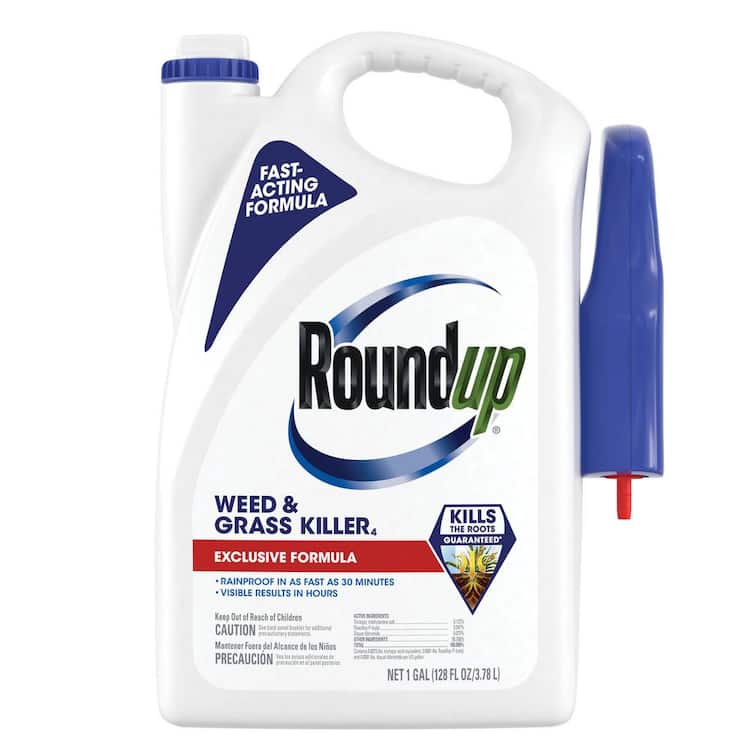 Roundup Weed and Grass Killer 4 with Trigger Sprayer, 1 gal., Use In and Around Flower Beds, Trees, and Driveways