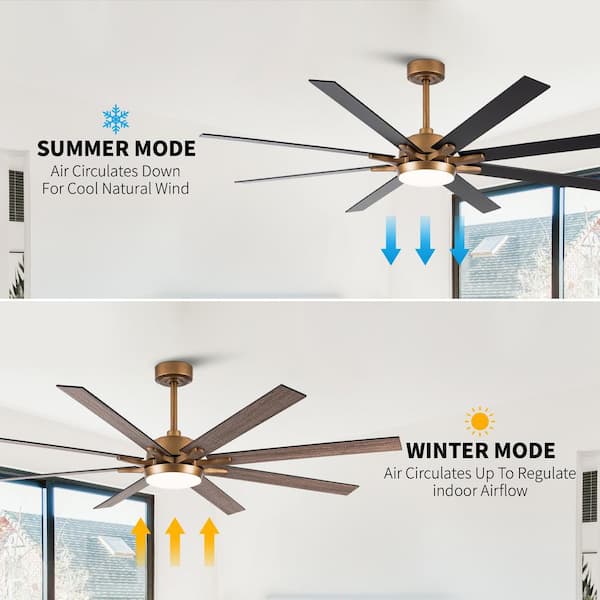 maaa88k0♡ matrix decor 65 in. LED Indoor Gold DC Motor Ceiling Fan