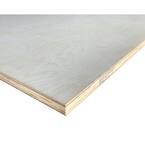 3/4 in. x 2 ft. x 8 ft. D4 Birch Plywood Project Panel