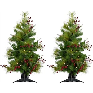 Set of Two 2 ft. Red Berry Mixed Pine Artificial Christmas Tree with LED Lights