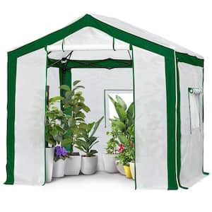 8 ft. W x 8 ft. D Portable Walk-in Pop-Up Instant Outdoor Gardening Greenhouse, Green/white