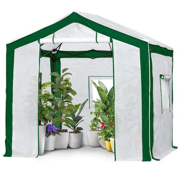 EAGLE PEAK 8 ft. W x 8 ft. D Portable Walk-in Pop-Up Instant Outdoor Gardening Greenhouse, Green/white