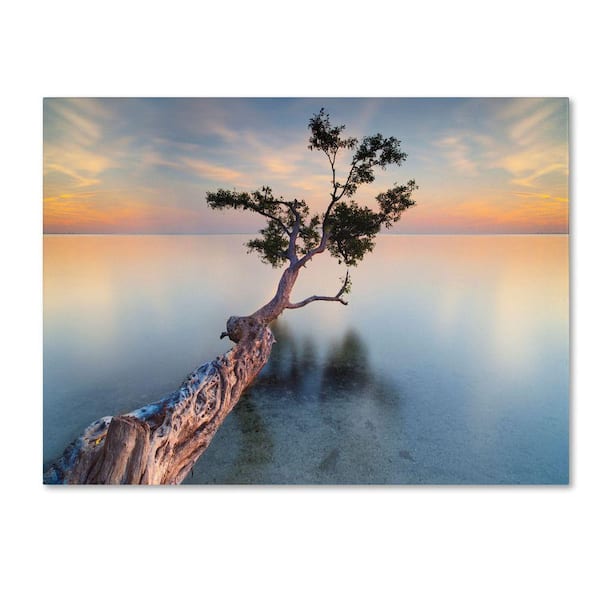 Trademark Fine Art 35 in. x 47 in. Water Tree XIV Canvas Art