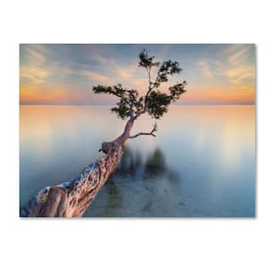 35 in. x 47 in. Water Tree XIV Canvas Art