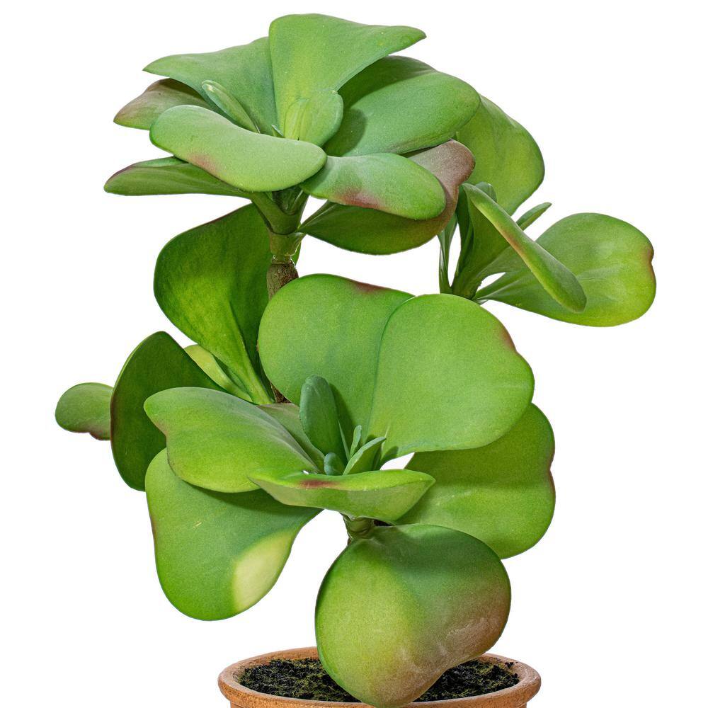 14" EverGreen Tabletop Plastic Succulent - Outdoor Centerpiece
