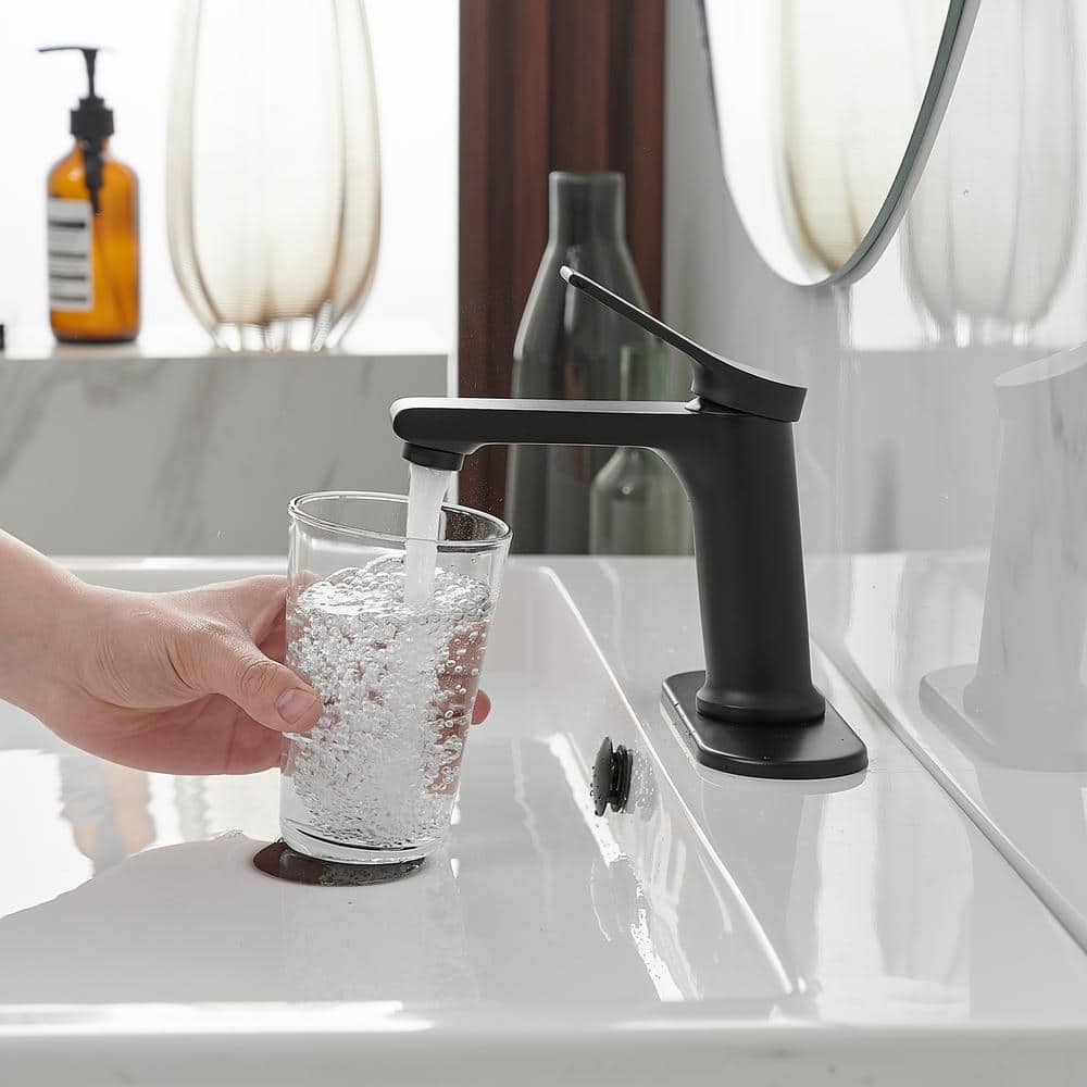 Matte Black Single-Handle Bathroom Faucet with Nickel Finish