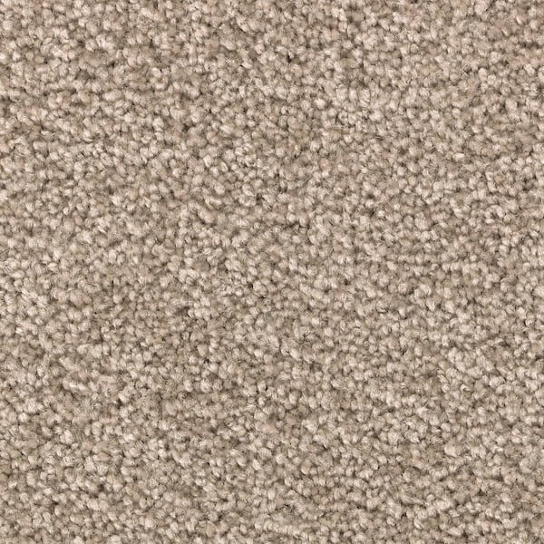 Lifeproof Unblemished I  - Matterhorn - Brown 45 oz. Triexta Texture Installed Carpet