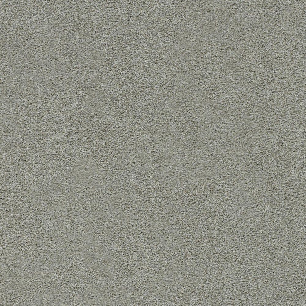 8 in. x 8 in. Texture Carpet Sample-Cinderella Soft II-Color Cheerful price history on PriceWatchPro