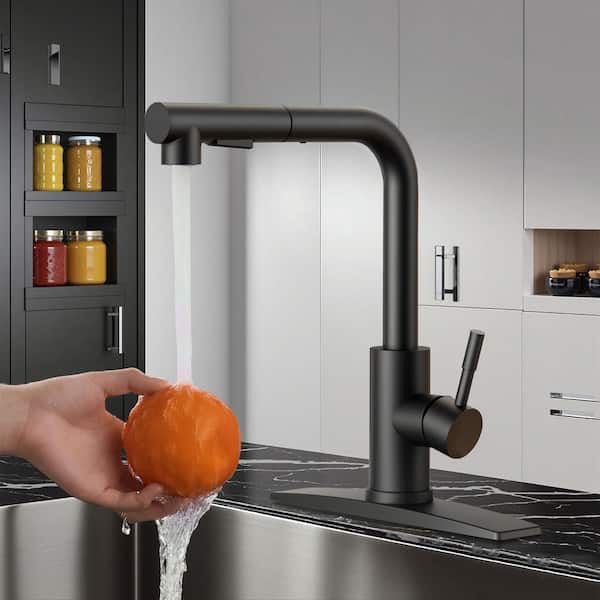ANZA Single Handle Pull Down Sprayer Kitchen Faucet with Deckplate
