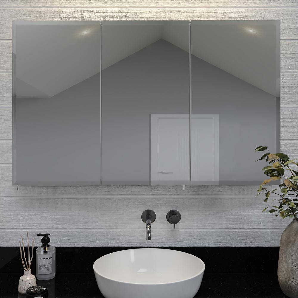 Croydex 48 in. W x 30 in. H x 51/4 in. D Frameless TriView Surface