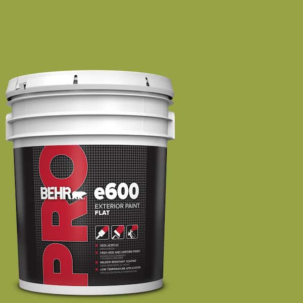 BEHR PRO 5 gal. #P360-6 Fresh Apple Flat Exterior Paint
