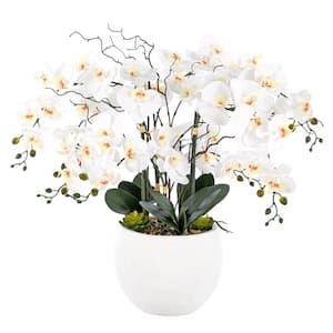 36.22 in. H Artificial Phalaenopsis Orchids Floral Arrangement in Pot