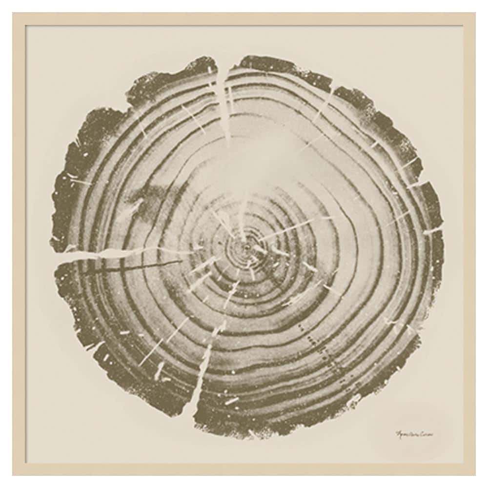 Tree Trunk Cream II Natural Wood Framed Wall Art
