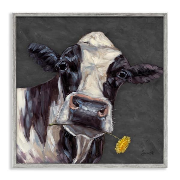 Stupell Industries Cow with Yellow Daisy by Sara G. Designs Gray Framed Animal Giclee Art Print 12 in. x 12 in.
