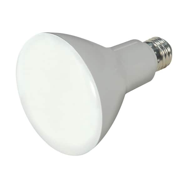 65-Watt Equivalent 2700K BR30 E26 Base Dimmable T20 T24 LED Light Bulb 120 Volt (12-Pack)