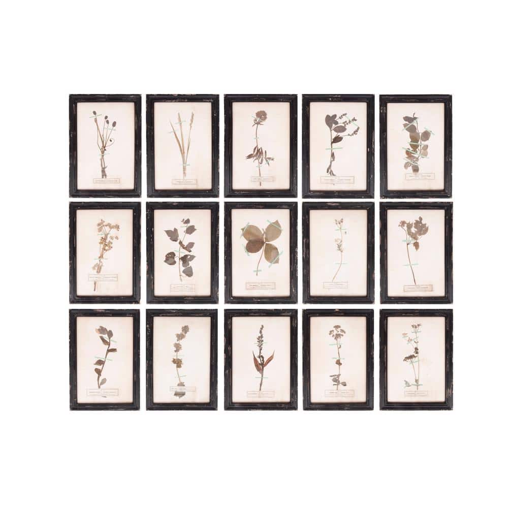 Birch Lane™ Topeka Dried Flower Framed On Paper 16 Pieces Print