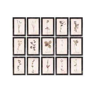 16 Piece Framed Graphic Print Dried Flower Nature Art Print Plaques 15.75 in. x 11 in.