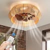 Lasaideal 19 in. Black Caged Ceiling Fan with Light