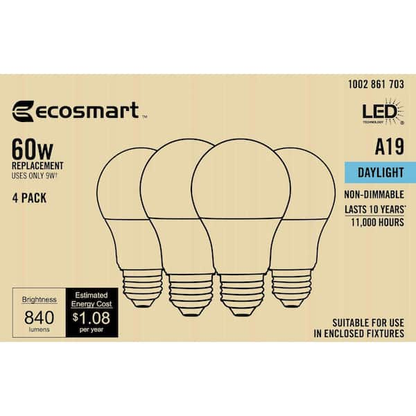 ecosmart 5000k led