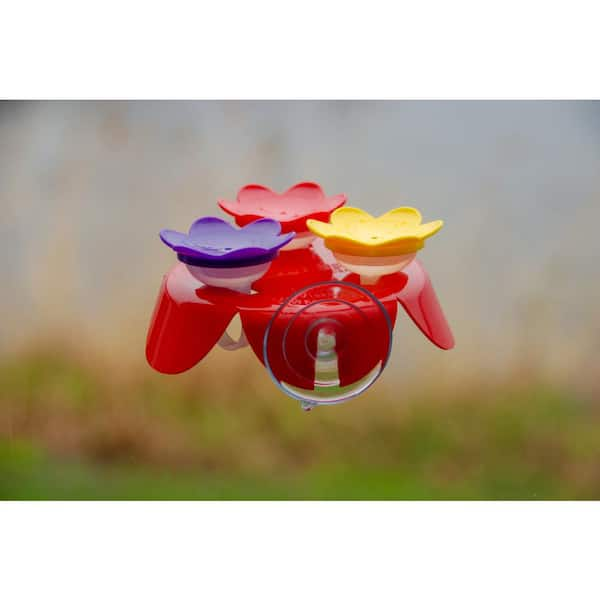 Zummr hummingbird ring on sale feeder