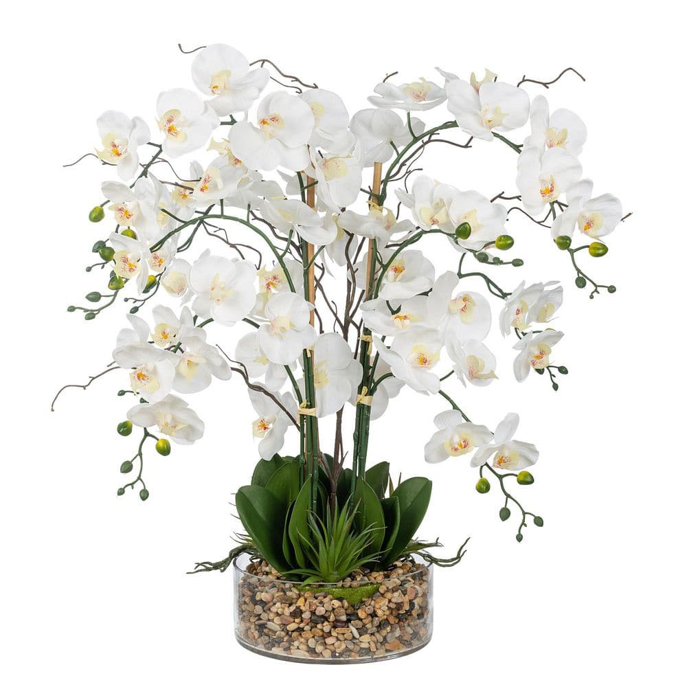 Dahlia Studios Potted Faux Artificial Flowers Realistic White Phalaenopsis  Orchid in Gold Ceramic Pot Home Decoration 23 High 