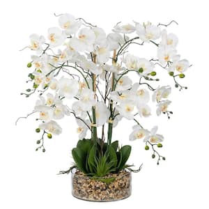 29 .13 in. H Artificial Phalaenopsis Orchids Floral Arrangement in Glass Vase