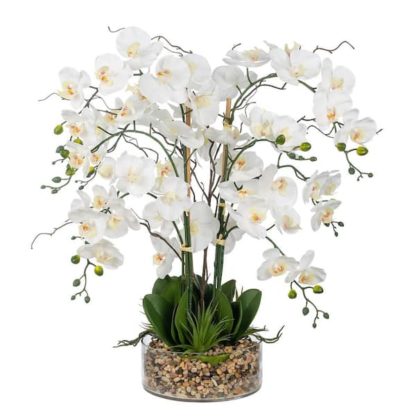 Vanity Art 29 .13 in. H Artificial Phalaenopsis Orchids Floral Arrangement in Glass Vase