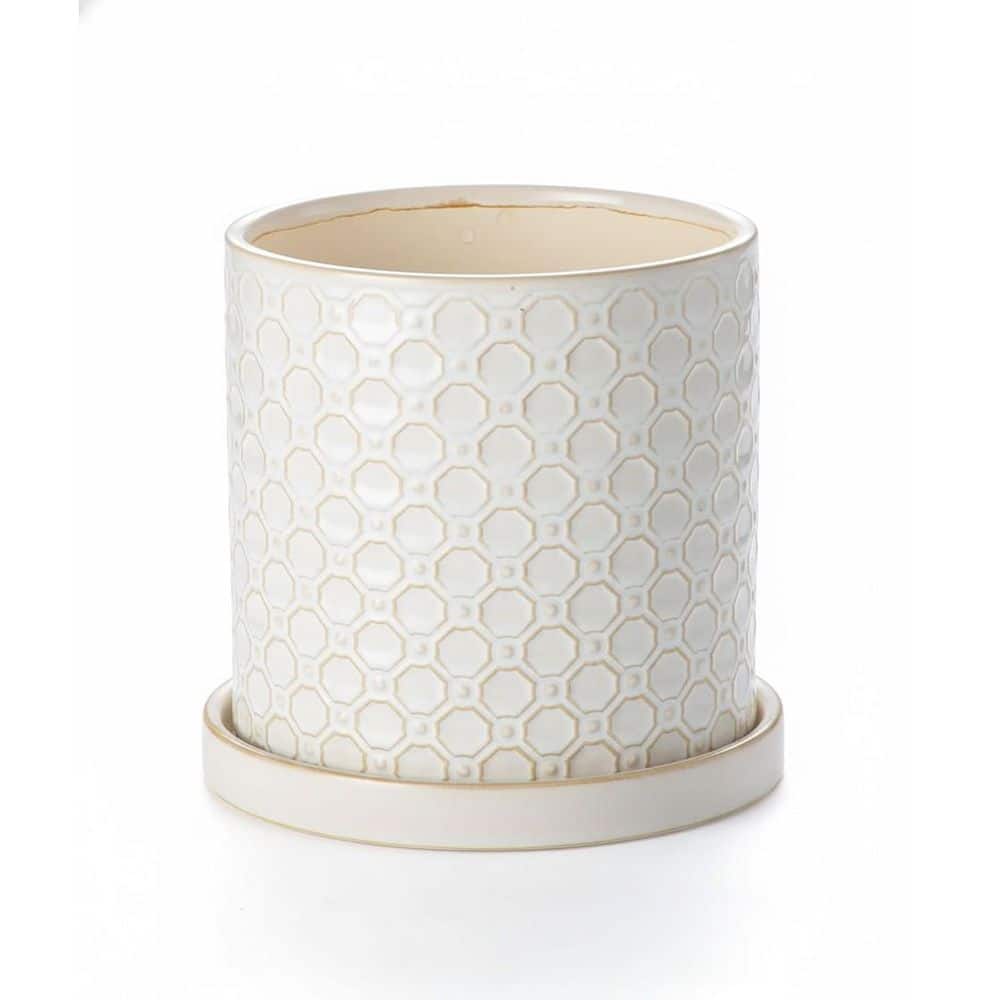 6 in. Ceramic Cylinder Planter (White) - Indoor/Outdoor with Drainage price history on PriceWatchPro