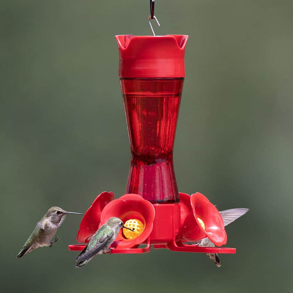 Red Glass and Plastic Hanging Hummingbird Feeder, 8-Ounce