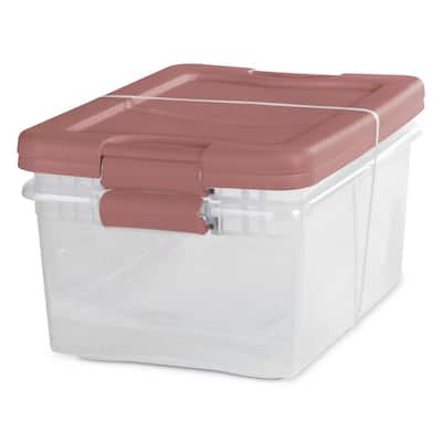 1XS Small Plastic Transparent With Lid Collection Container Case Storage Box wr 