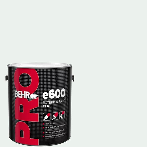 1 gal. #W-D-500 Cascade White Flat Paint