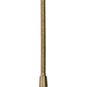 Stretchable 60 in. to 82 in. Metal Handshower Hose in Champagne Bronze