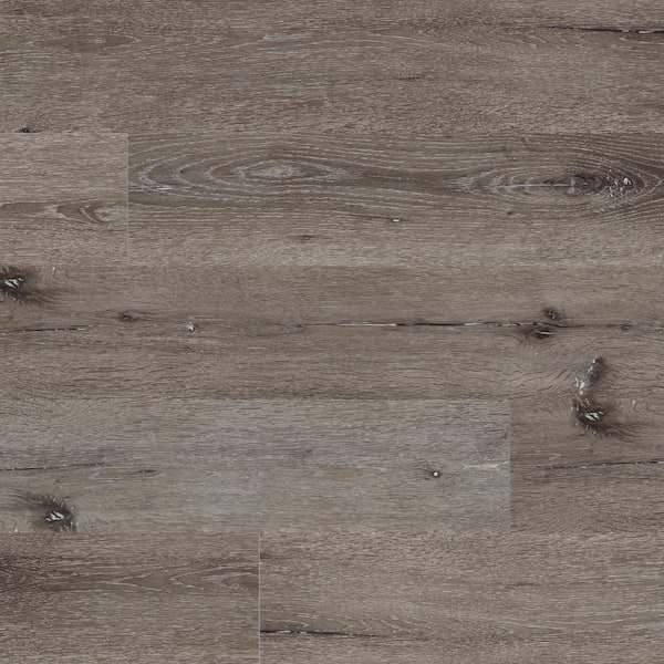 MSI Take Home Sample - 7 in. x 7 in. Centennial Ash Rigid Core Click Lock Luxury Vinyl Plank Flooring