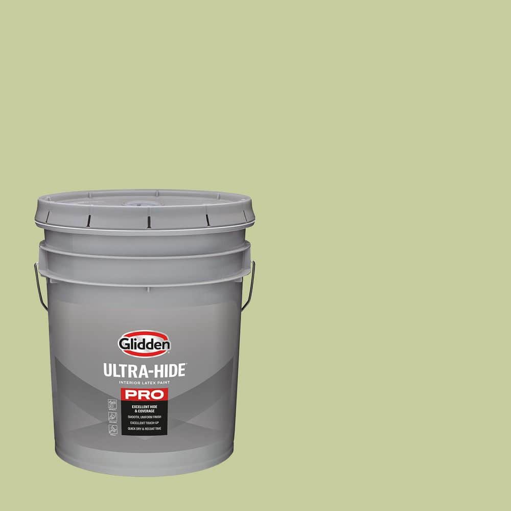 5 gal. PPG11-10 In the Dale Satin Interior Paint price history on PriceWatchPro
