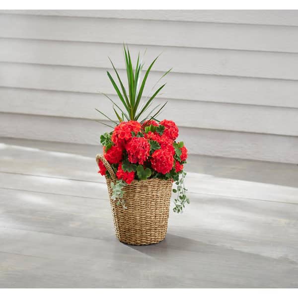 12.5 in. Agnes Medium Brown Lampakanay Seagrass Basket Planter (12.5 in. D  x 13.8 in. H) with attached liner