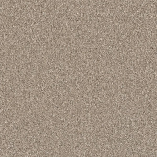 Lifeproof Blissful II - Joyful Beige - 60 oz. SD Polyester Texture Installed Carpet