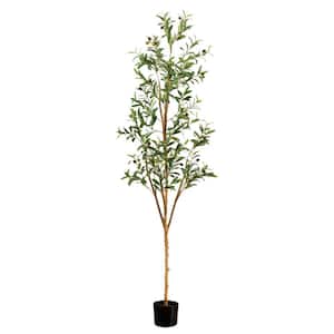 6 ft. Artificial Olive Tree with Natural Trunk