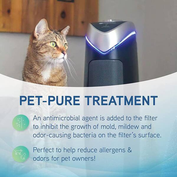 Do Air Purifiers Help With Dog Smells